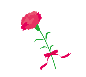 カーネーション