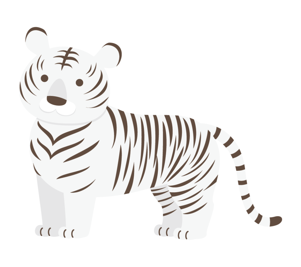 虎（白）のイラスト