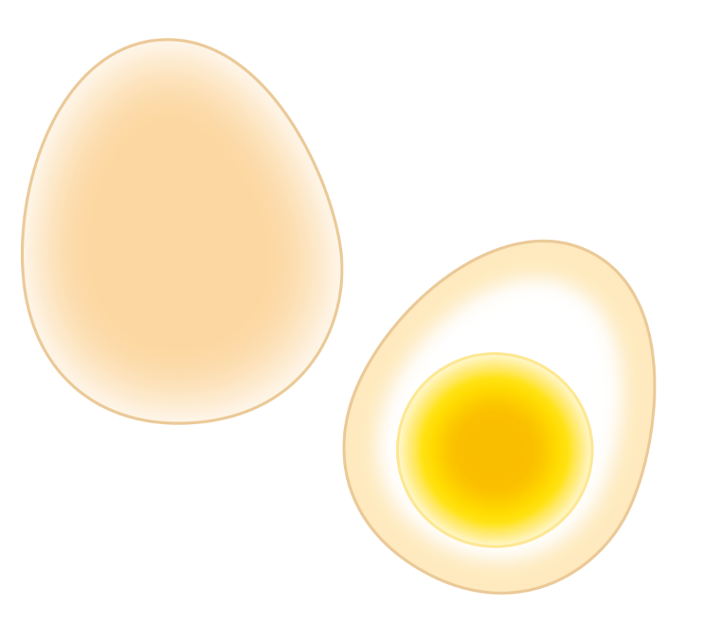 煮卵のイラスト