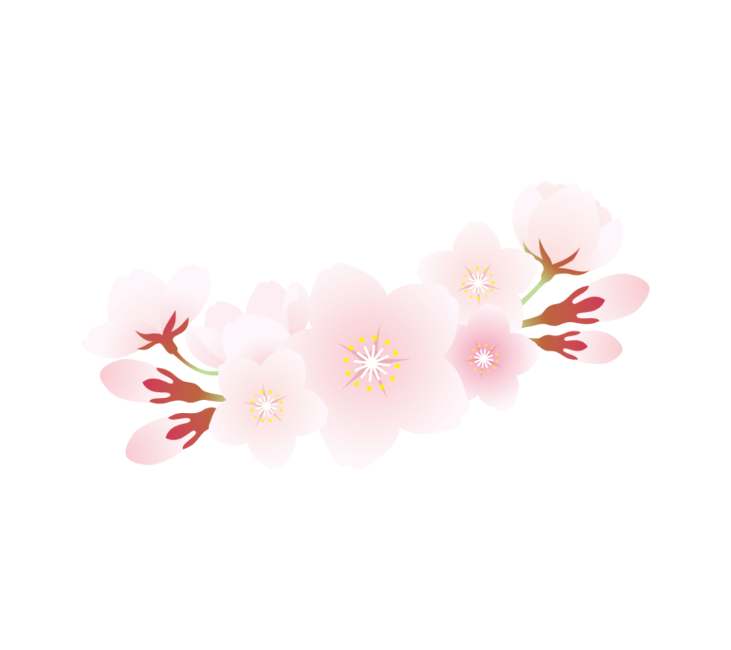 桜の花のイラスト3