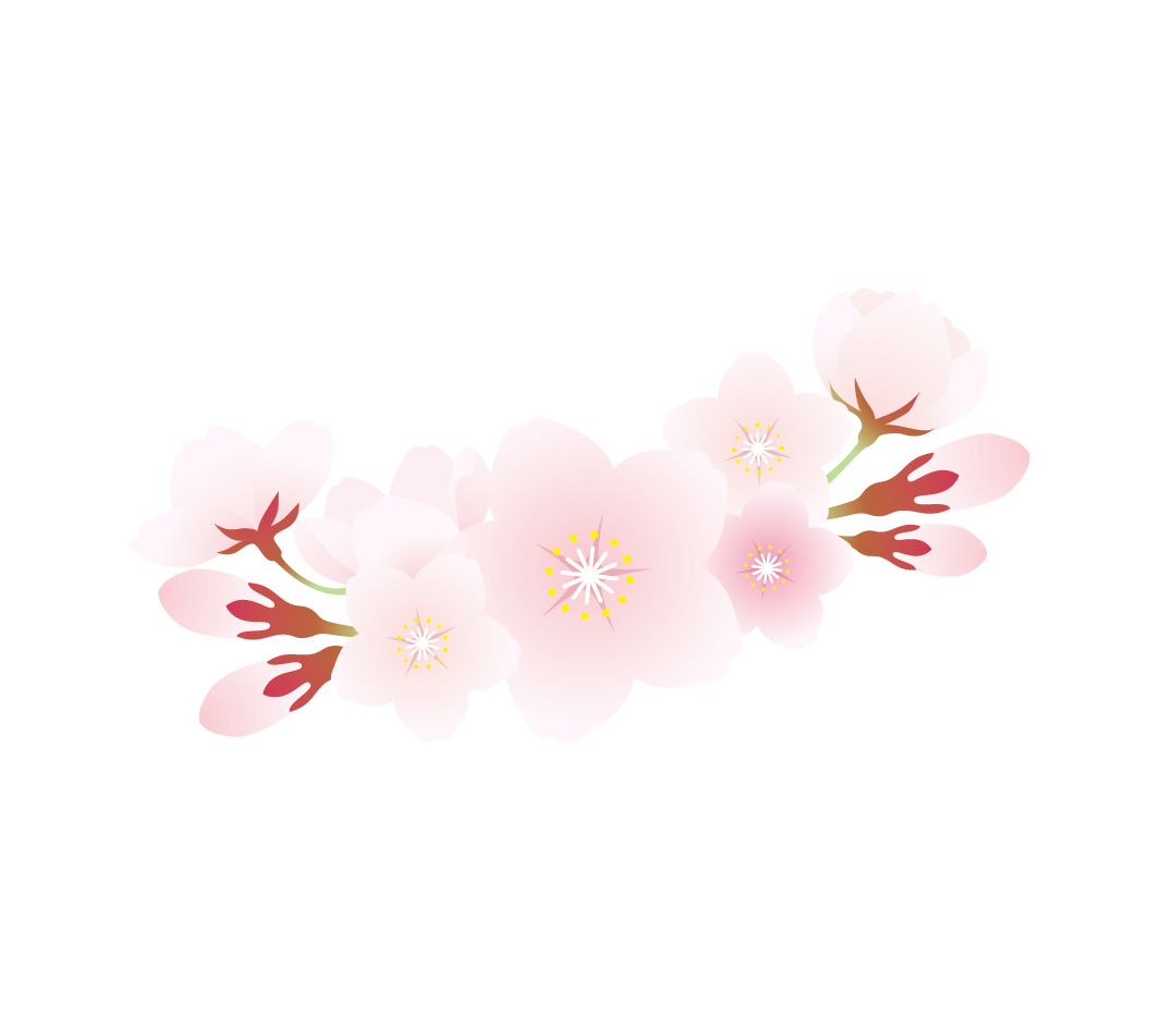 桜の花のイラスト3 高品質の無料イラスト素材集のイラサポフリー