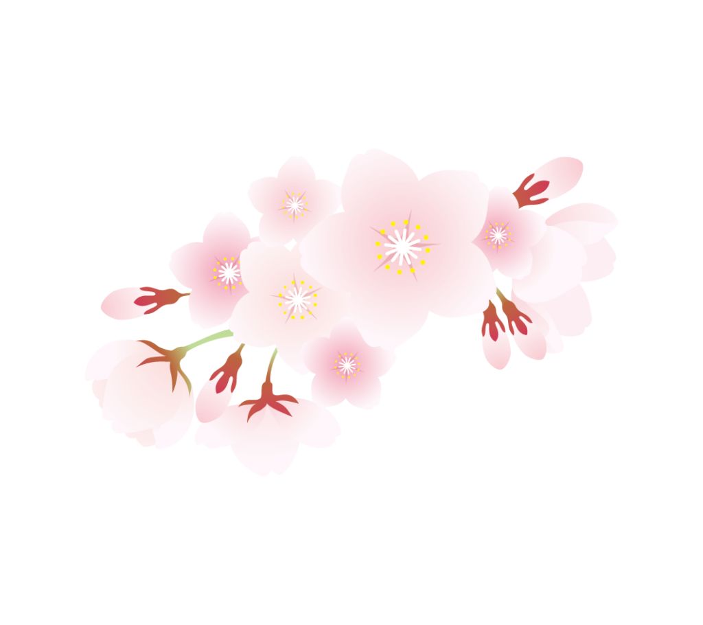 桜の花のイラスト2