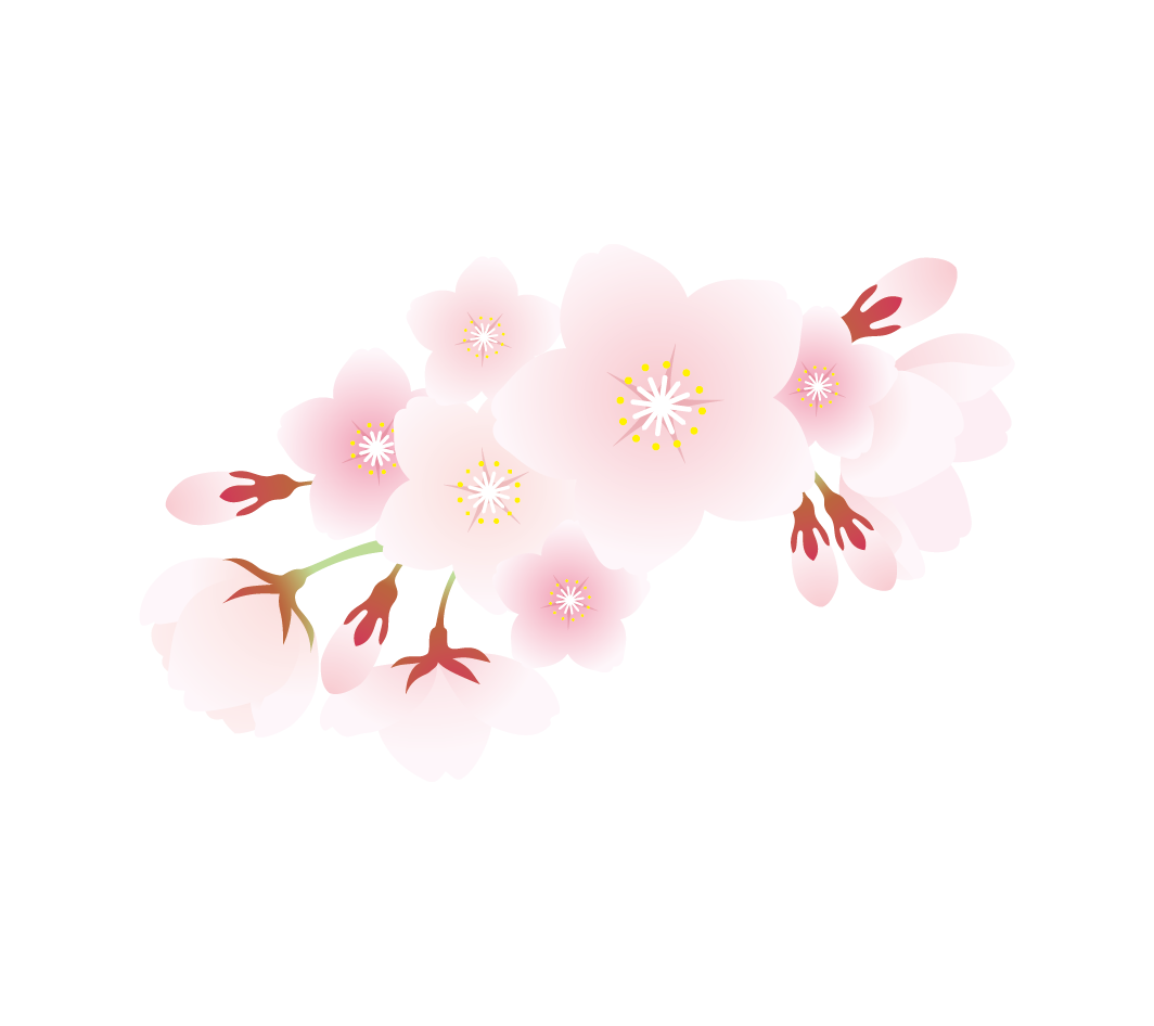 桜の花のイラスト2 高品質の無料イラスト素材集のイラサポフリー