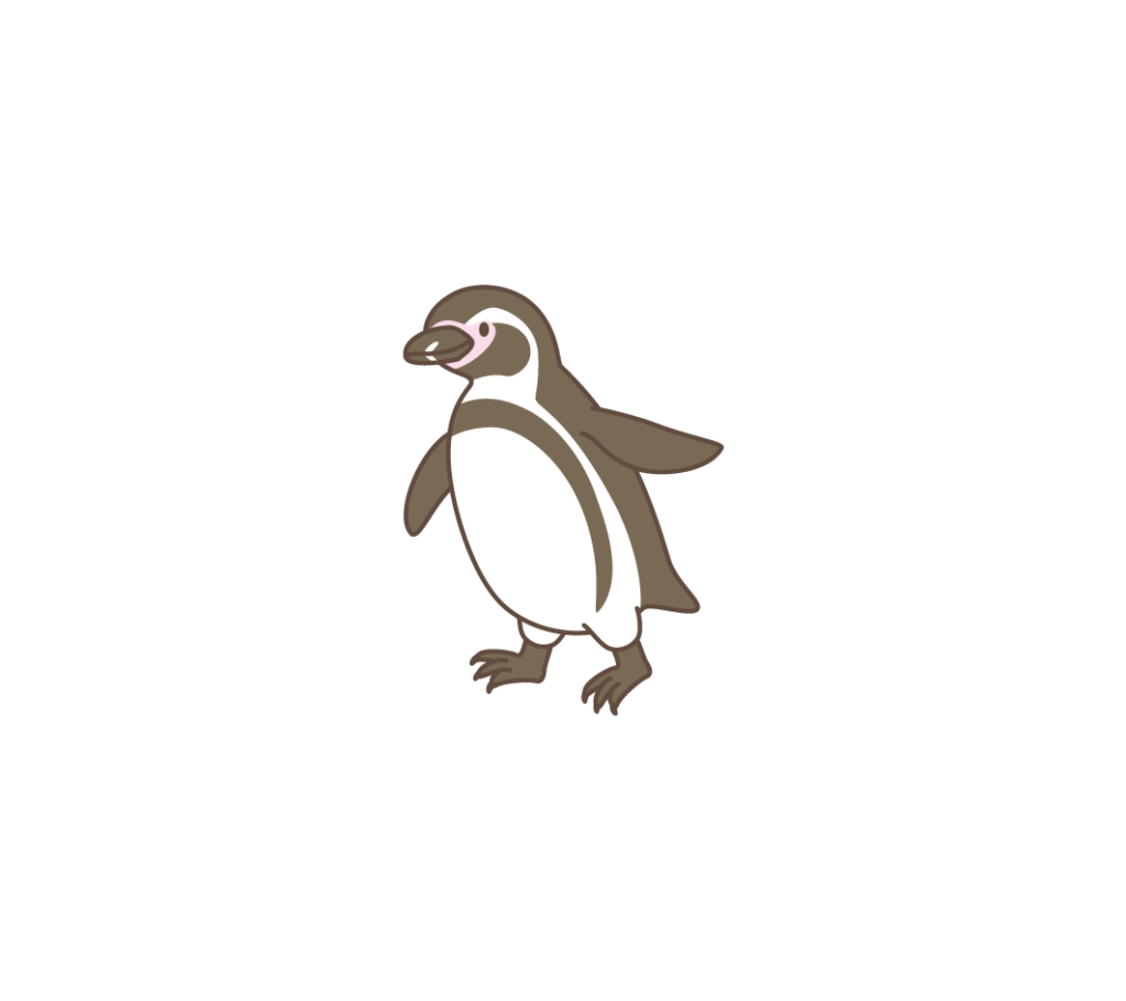 フンボルトペンギンのイラスト